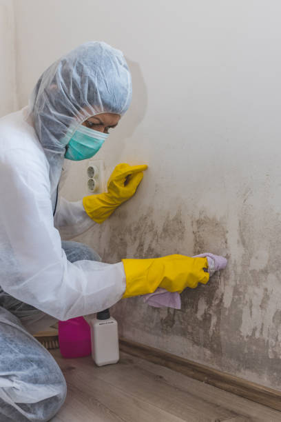 Best Asbestos and Lead Testing During Mold Inspection  in Fountain Inn, SC