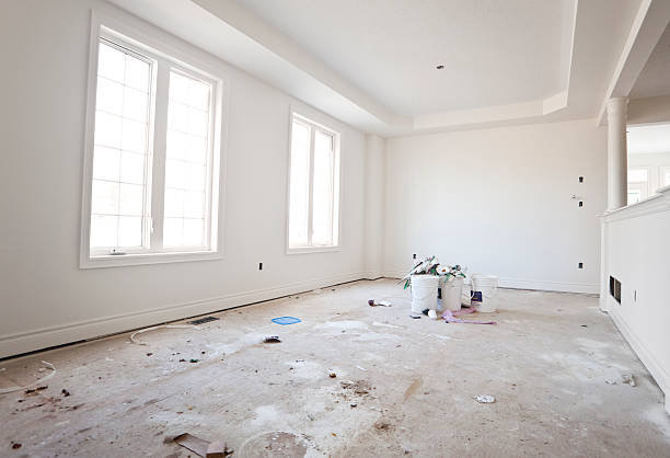 Best Mold Odor Removal Services  in Fountain Inn, SC