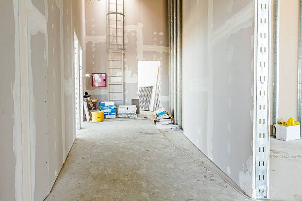Best Environmental Consulting for Mold Prevention  in Fountain Inn, SC