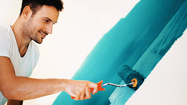 Trusted Fountain Inn, SC Mold Removal Experts