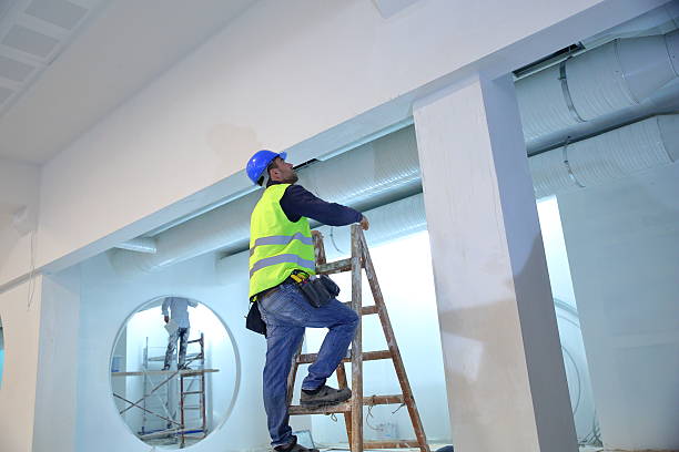 Best Water Damage & Mold Remediation  in Fountain Inn, SC